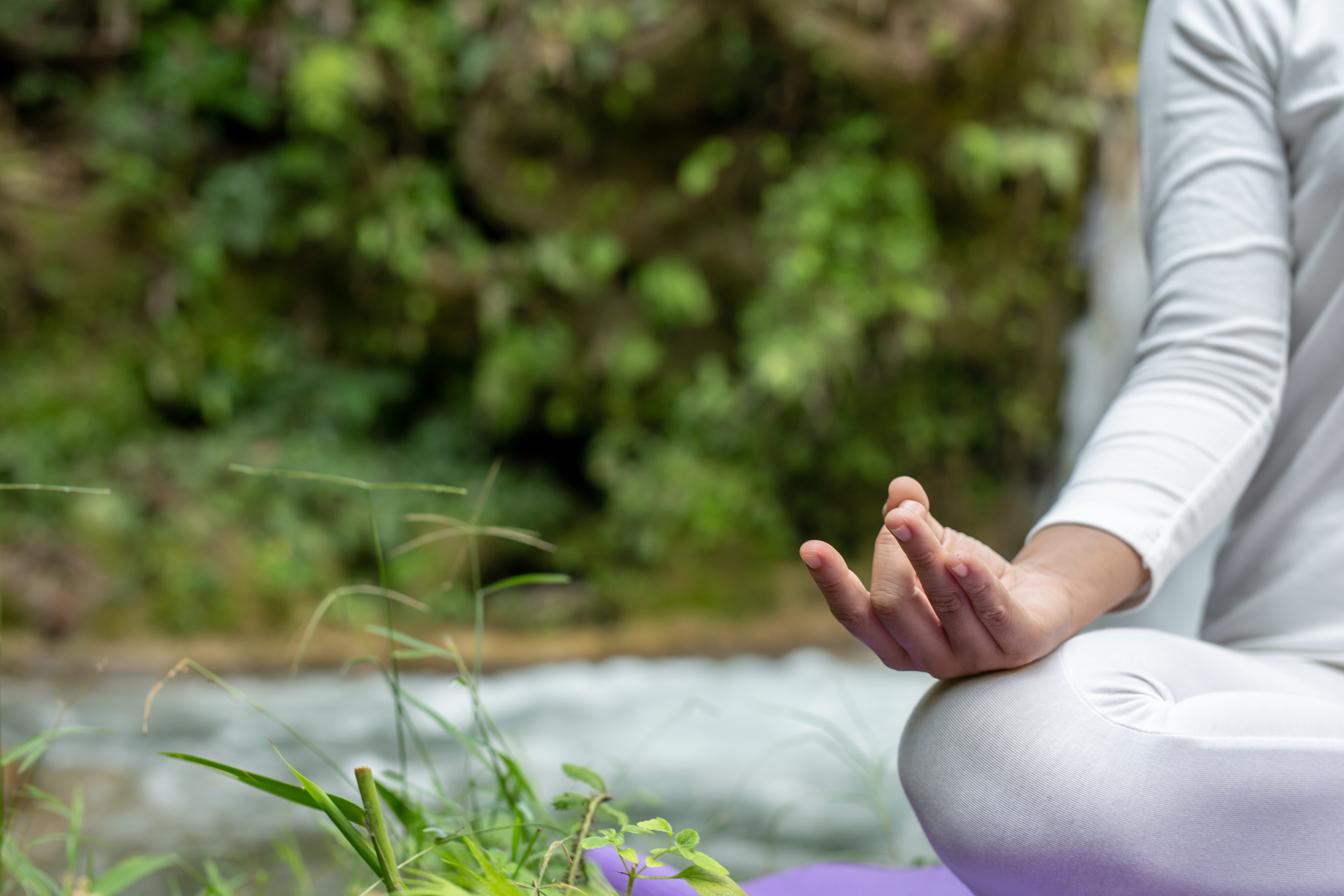 People practicing breathing and yoga in a park